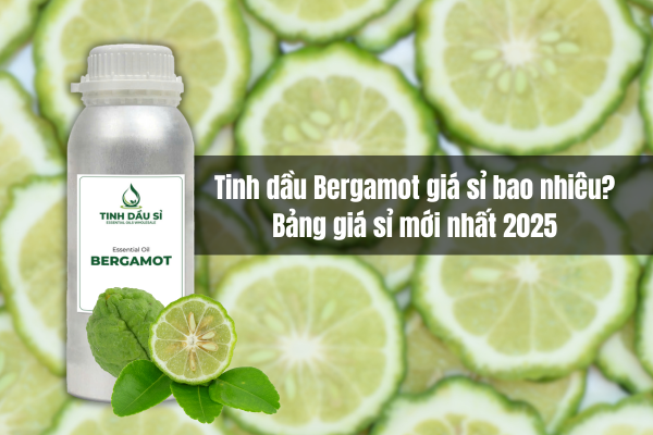 Tinh dầu Bergamot giá sỉ bao nhiêu? Bảng giá mới nhất 2025 cho nhà sản xuất
