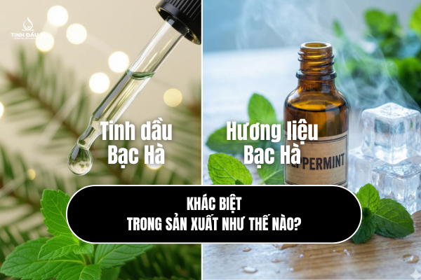 Tinh dầu Bạc Hà nguyên chất vs hương liệu bạc hà - khác biệt trong sản xuất!