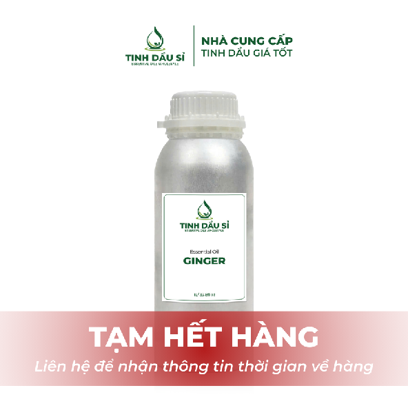 Tinh dầu Gừng - Ginger Extract Oil