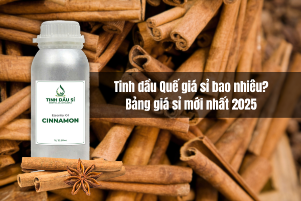 Tinh dầu Quế giá sỉ bao nhiêu? Bảng giá mới nhất 2025 cho nhà sản xuất