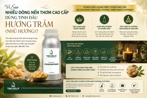 Vì Sao Nhiều Dòng Nến Thơm Cao Cấp Dùng Tinh Dầu Hương Trầm (Nhũ Hương)?