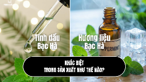 Tinh dầu Bạc Hà nguyên chất vs hương liệu bạc hà - khác biệt trong sản xuất!