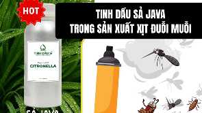 Vì sao tinh dầu Sả Java có khả năng đuổi muỗi?