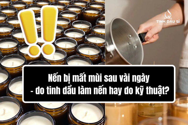 Nến bị mất mùi sau vài ngày - do tinh dầu làm nến hay do kỹ thuật?