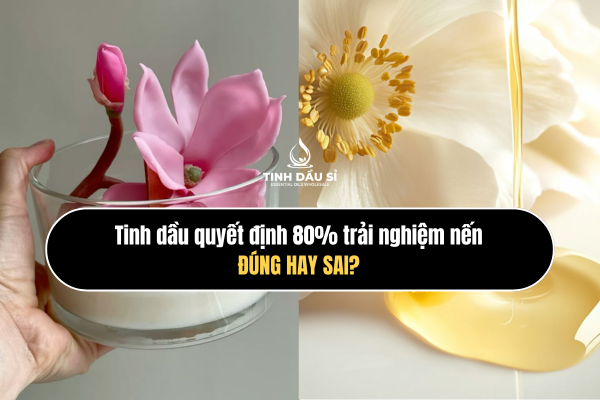 Tinh dầu quyết định 80% trải nghiệm nến - đúng hay sai?