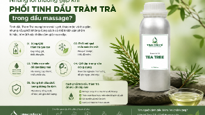 Những lỗi thường gặp khi phối tinh dầu Tràm Trà trong dầu massage?