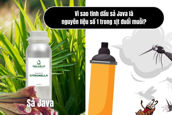 Vì sao tinh dầu sả Java là nguyên liệu số 1 trong xịt đuổi muỗi?