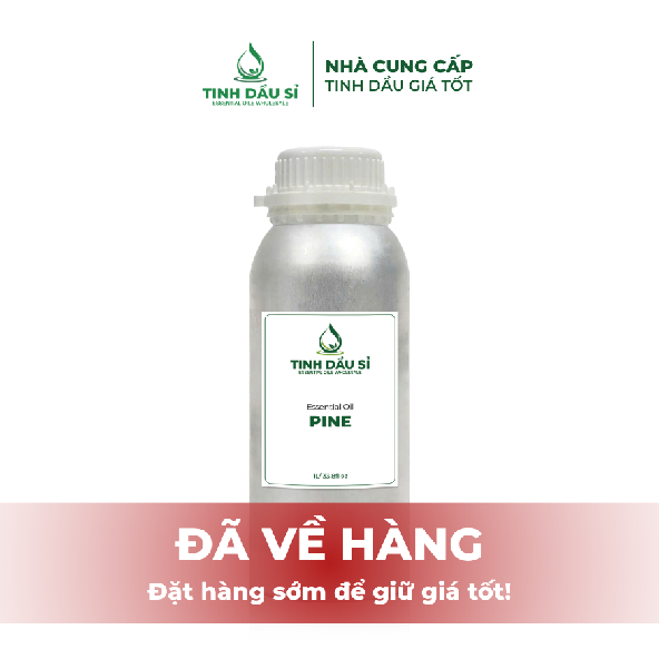 Tinh dầu Thông - Pine Oil