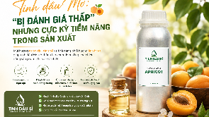 Tinh dầu Mơ: “Bị đánh giá thấp” nhưng cực kỳ tiềm năng trong sản xuất