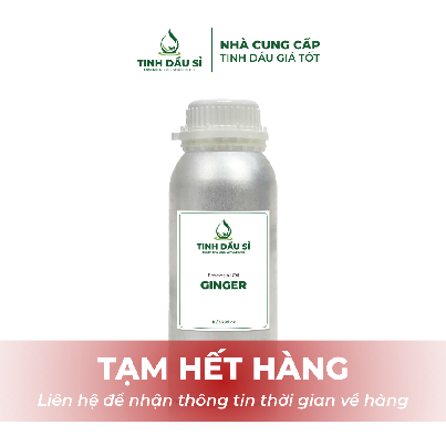 Tinh dầu Gừng - Ginger Extract Oil
