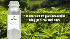 Tinh dầu Tràm Trà giá sỉ bao nhiêu? Bảng giá mới nhất 2025 cho nhà sản xuất