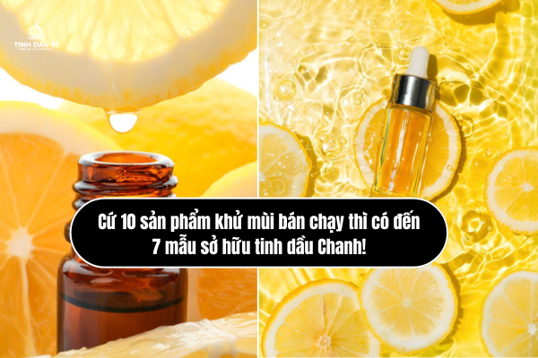 Cứ 10 sản phẩm khử mùi bán chạy thì có đến 7 mẫu sở hữu tinh dầu Chanh!