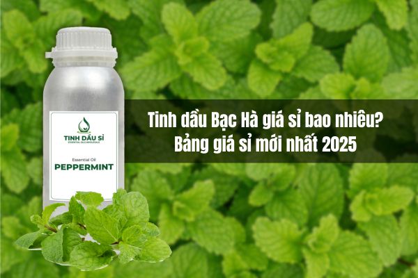 Tinh dầu Bạc Hà giá sỉ bao nhiêu? Bảng giá mới nhất 2025 cho nhà sản xuất