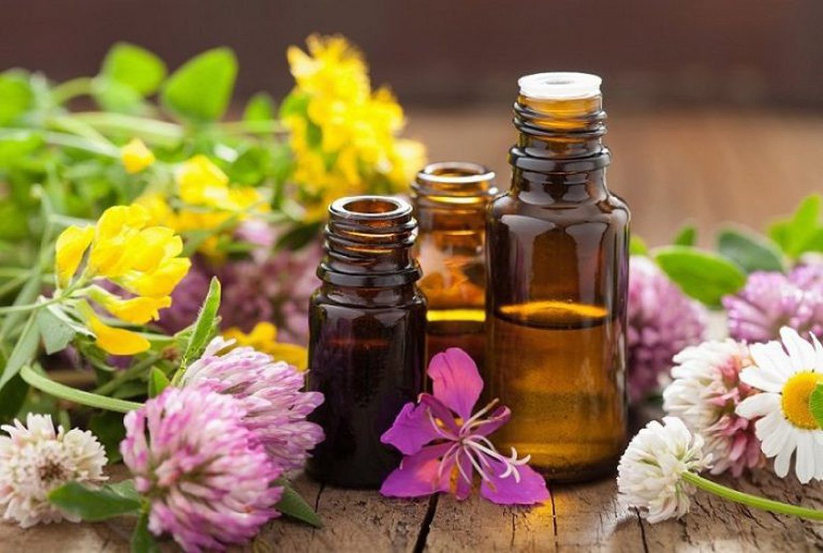Tinh dầu là gì? Các loại tinh dầu phổ biến và công dụng