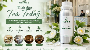 Tinh dầu Trà Trắng - mùi hương được nhiều khách sạn cao cấp lựa chọn