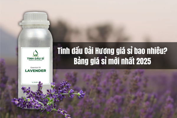 Tinh dầu Oải Hương giá sỉ bao nhiêu? Bảng giá mới nhất 2025 cho nhà sản xuất